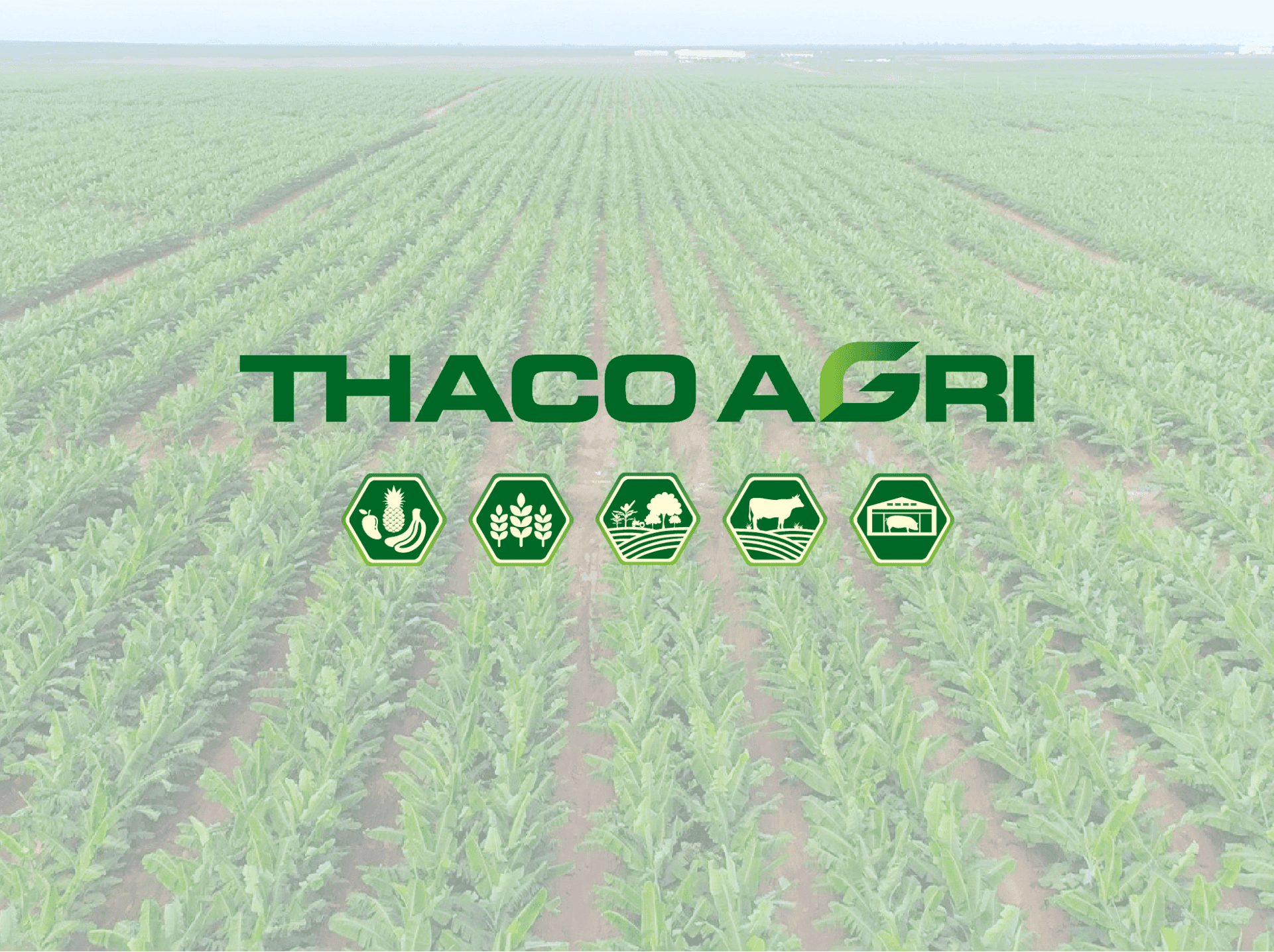 About Thagrico