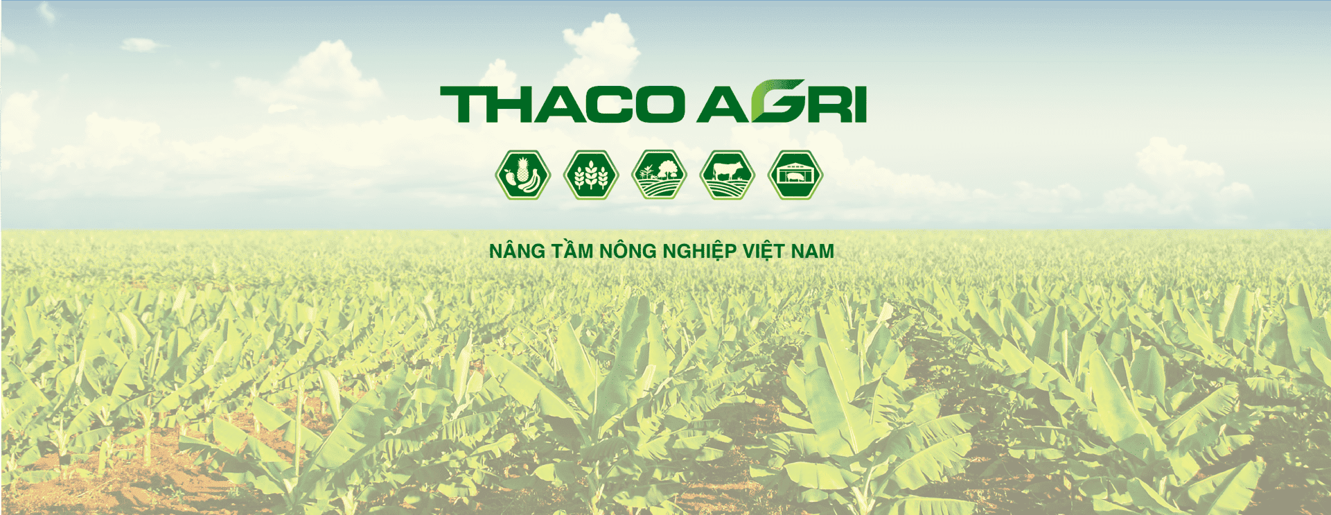 Banner trang chủ