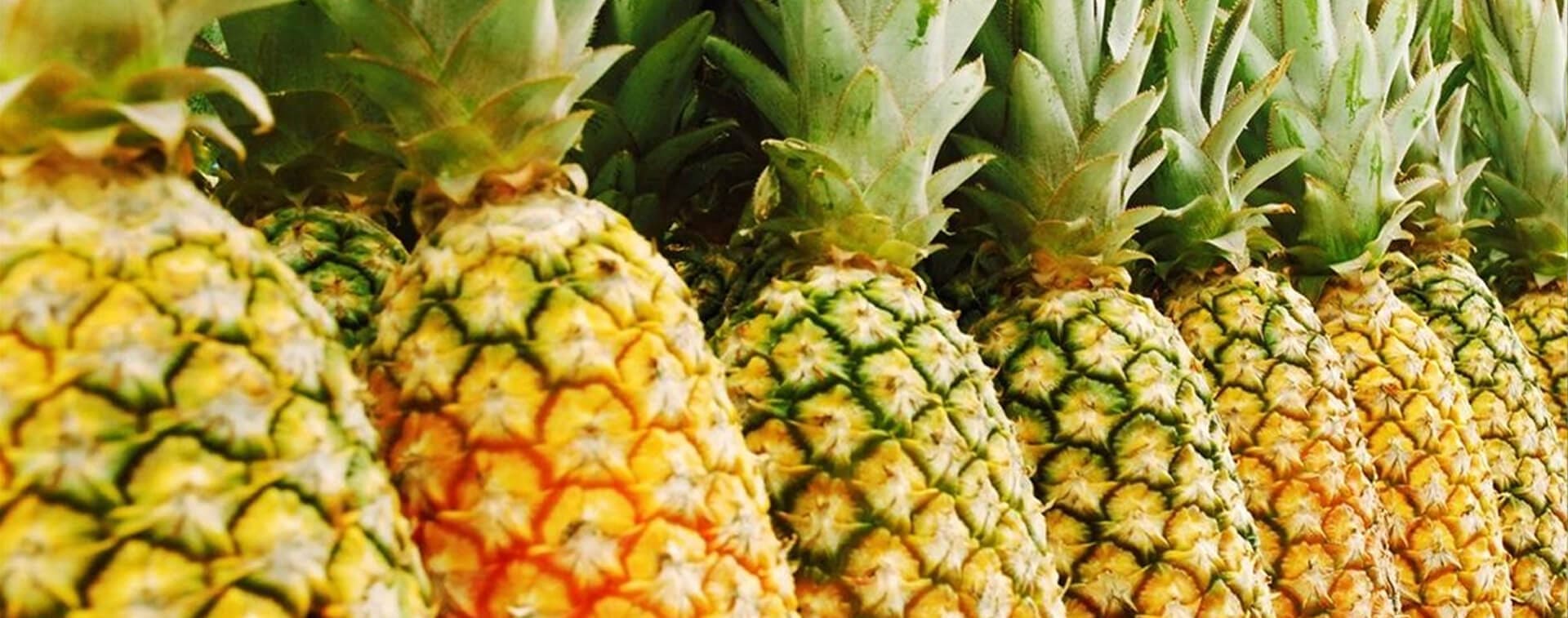 Banner trái cây