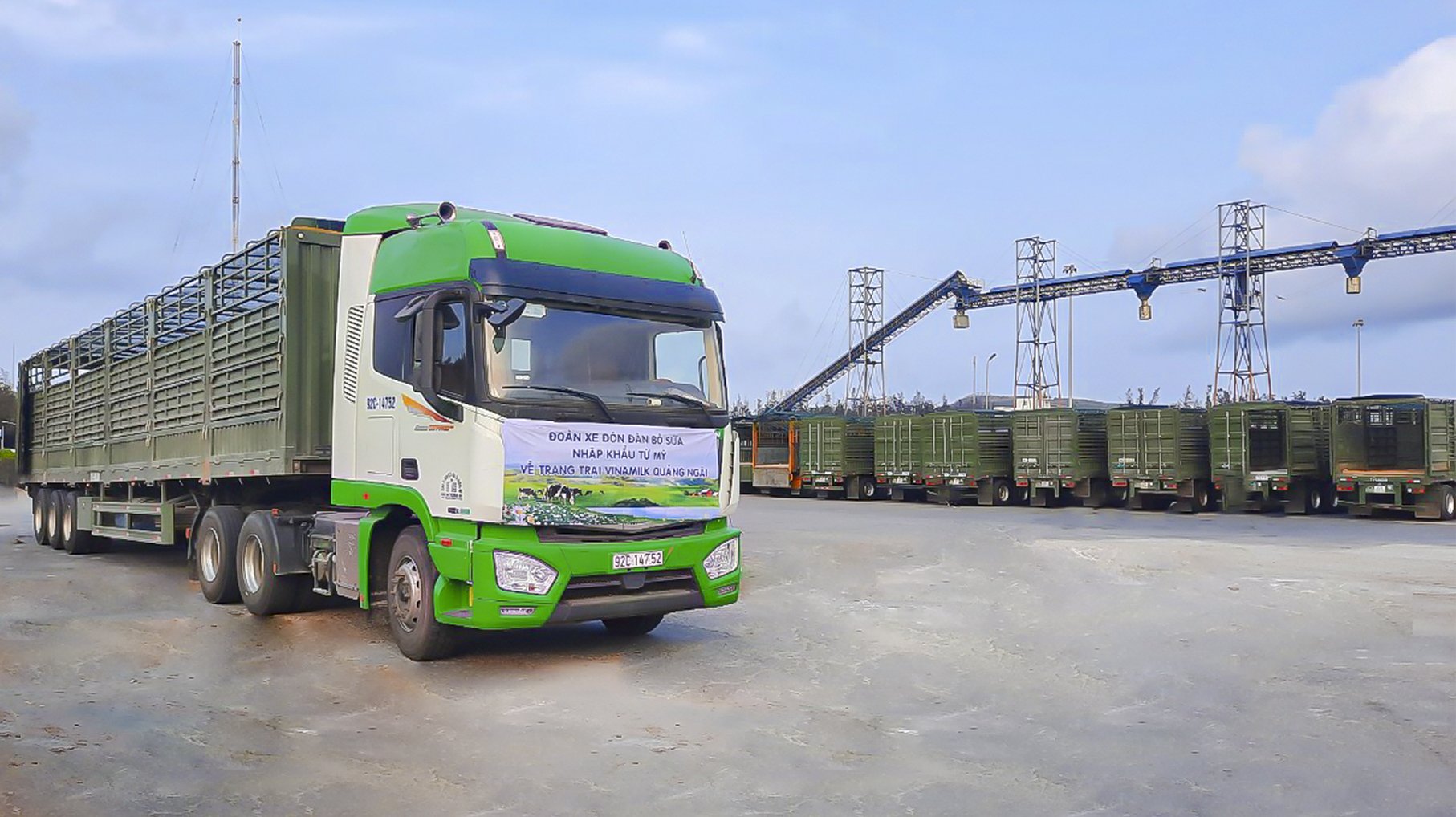 THILOGI delivered imported cows for Vinamilk