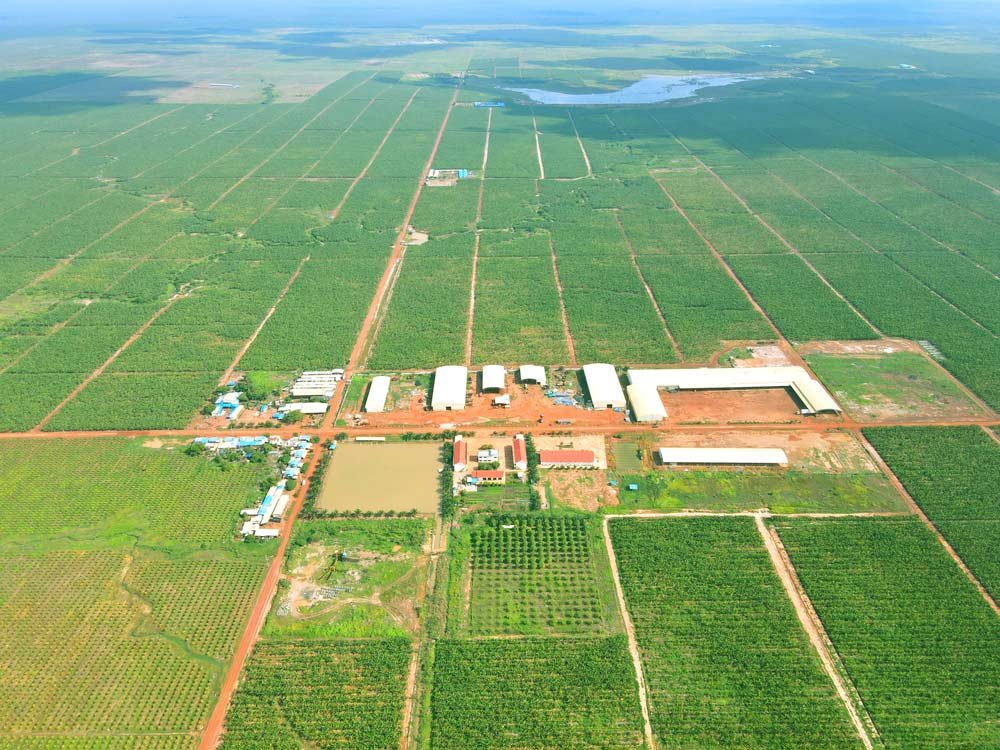 Koun Mom Agricultural Complex - A place surrounded by the legendary Serepok river