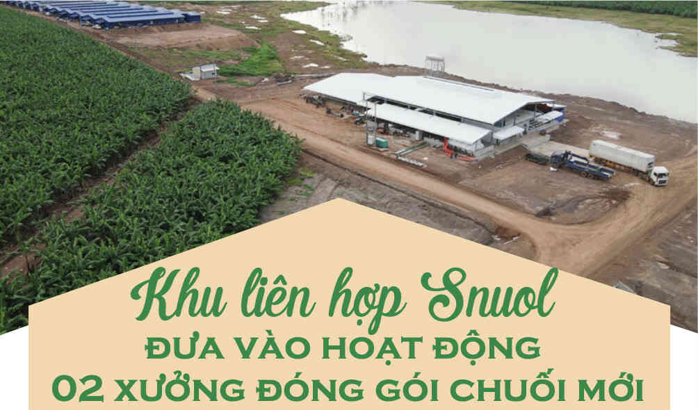 2 new banana packing houses of Snuol complex came in to operation
