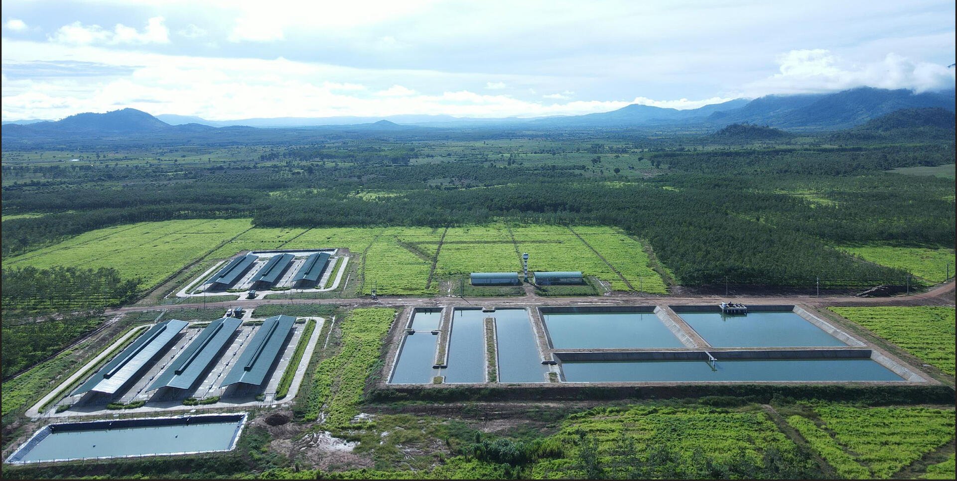 THACO AGRI - "Công Cuộc Đổi Màu" Cho Tây Nguyên