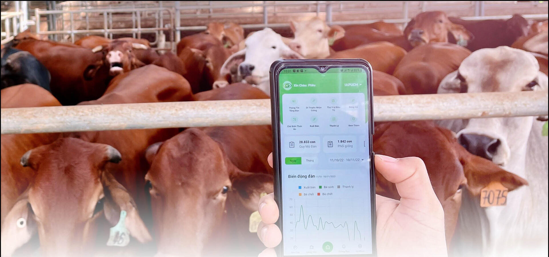 THACO AGRI DIGITALLY TRANSFORMS