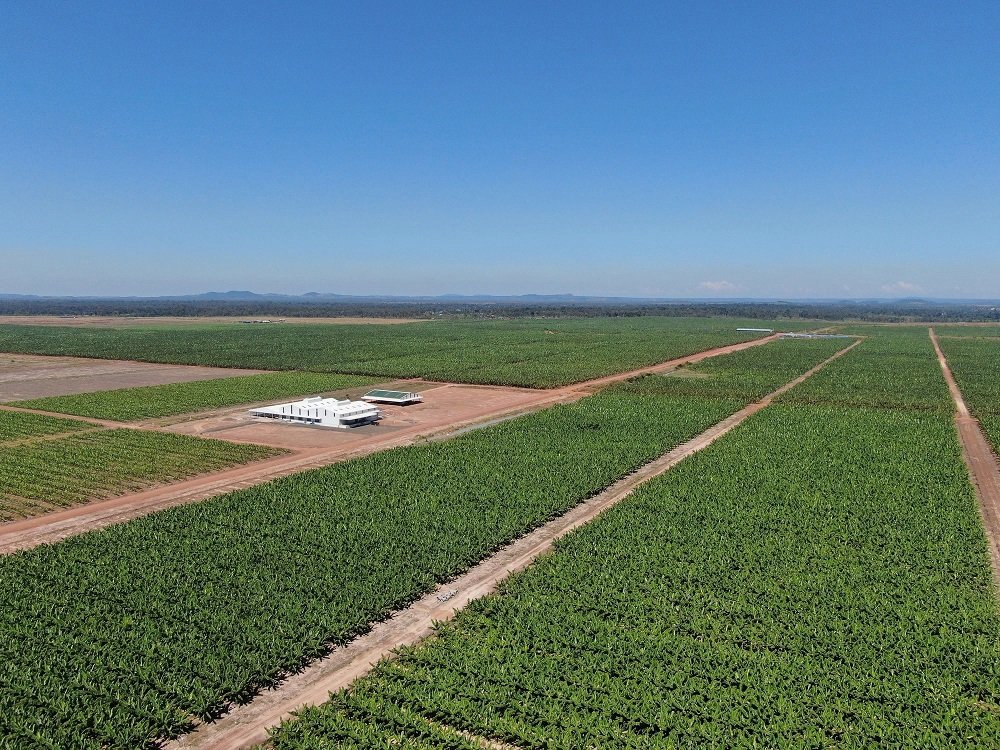 THACO AGRI of Chairman Mr. Tran Ba Duong is ambitious to gain 350 million USD from fruit export in 2022