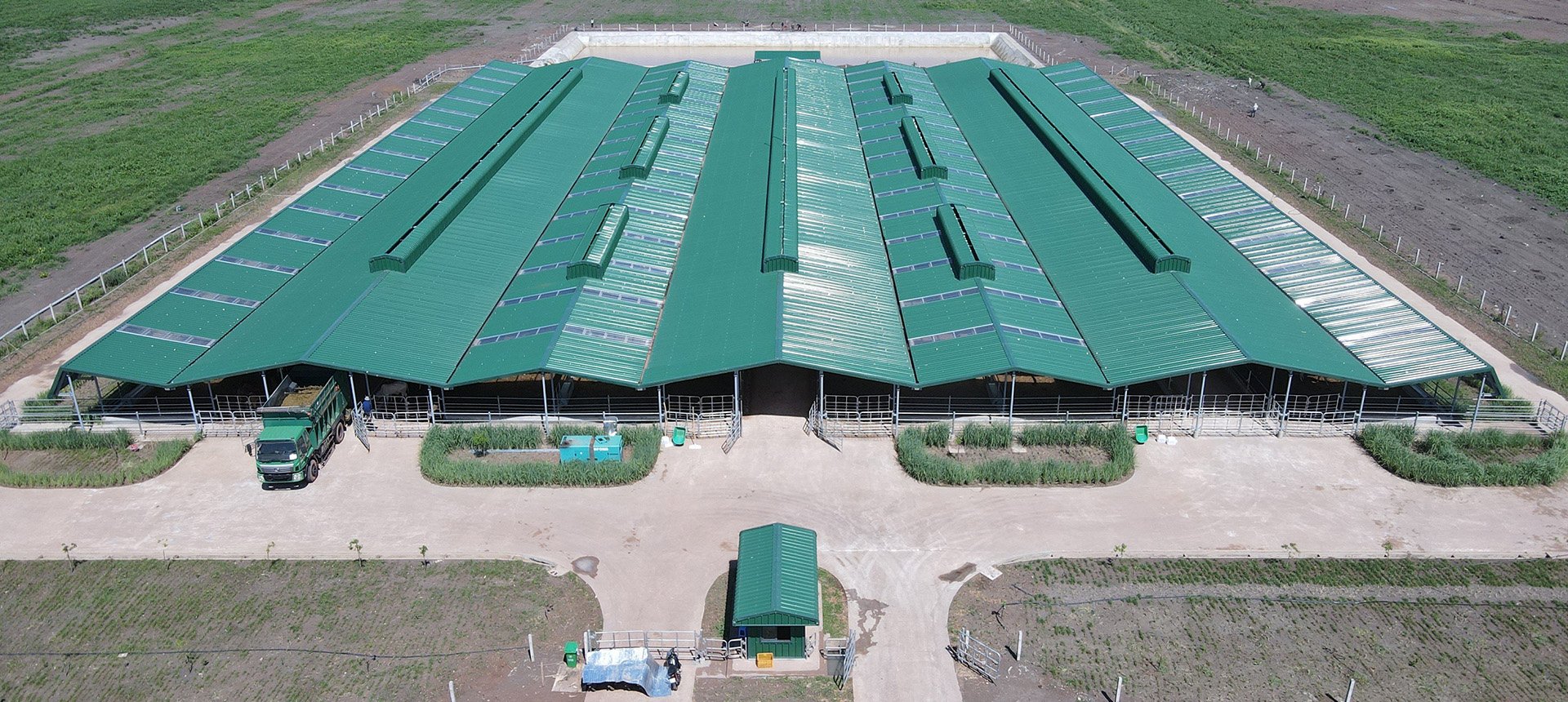 Khu liên hợp Snuol tiếp nhận các giống bò sinh sản từ trang trại bò Ia Puch