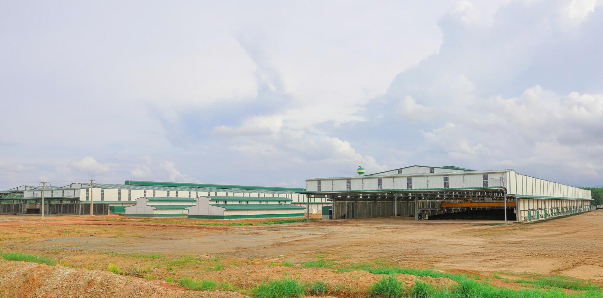 HAGL AGRICO Laos boosts productivity with feed storage and bedding production cluster