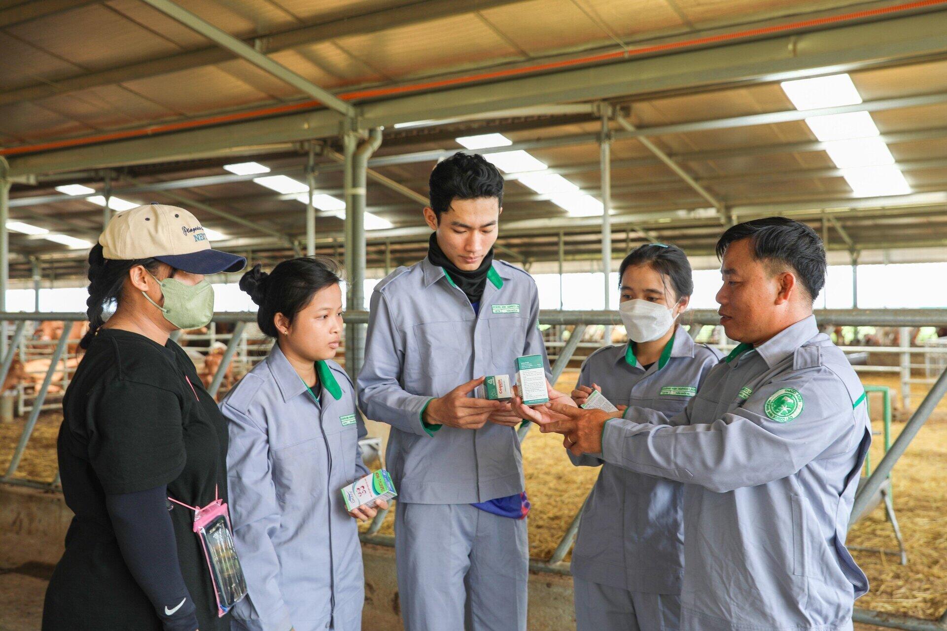 KLH HAGL AGRICO Lào tạo cơ hội cho sinh viên thực tập
