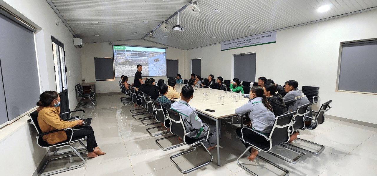 Nâng cao nhận thức về An toàn lao động trong chăn nuôi bò tại KLH Ia Puch