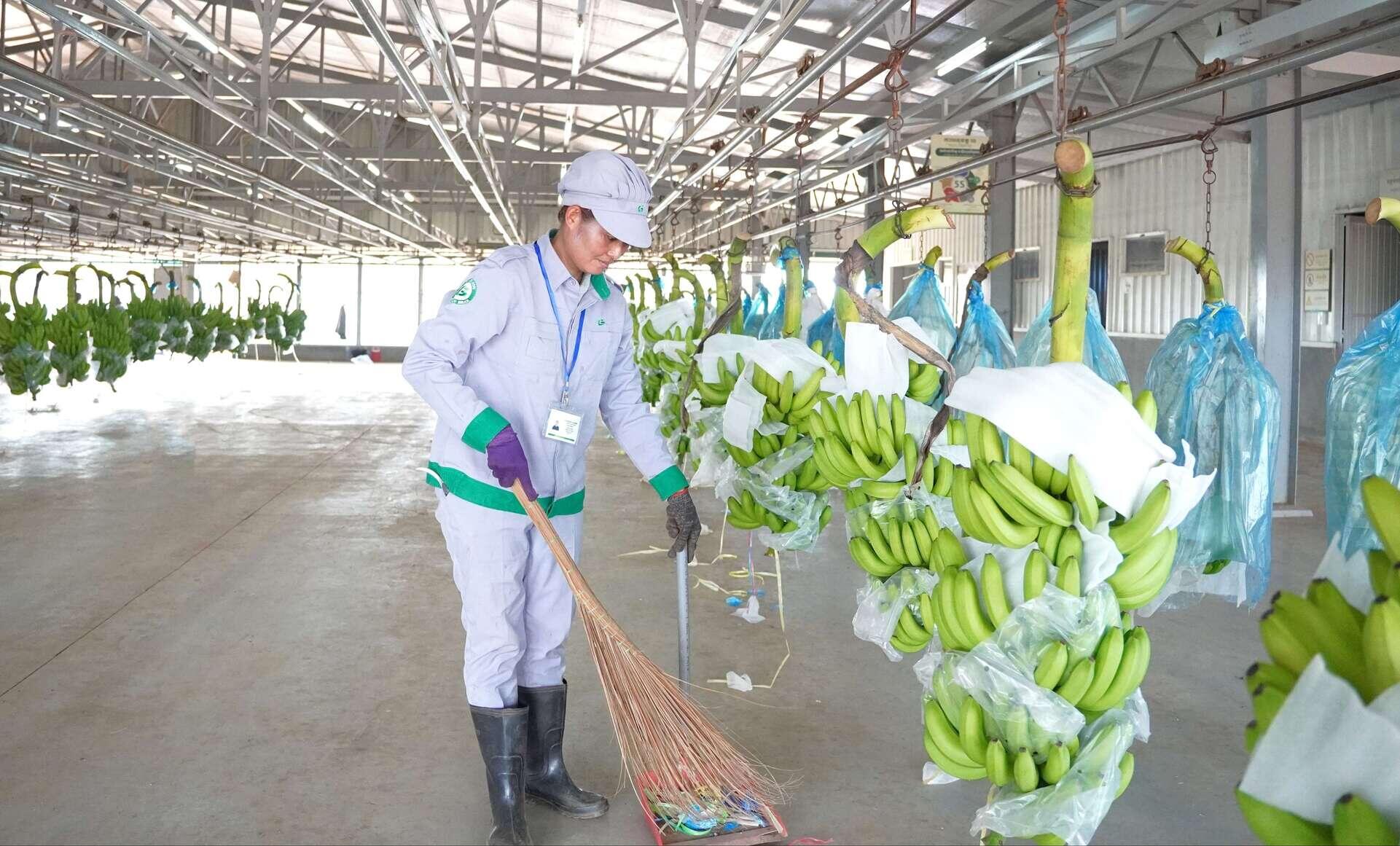 Công nhân làm việc chuyên nghiệp hơn khi thực hiện 5S