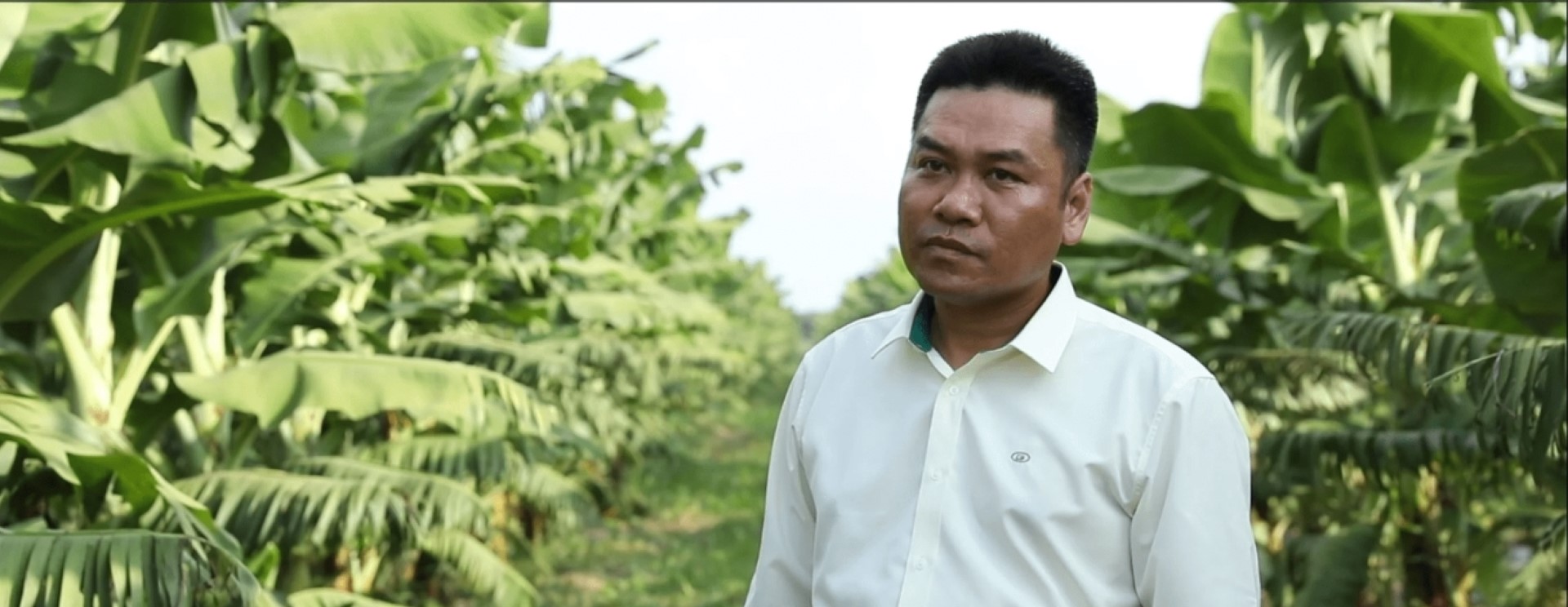Banner truyền thông