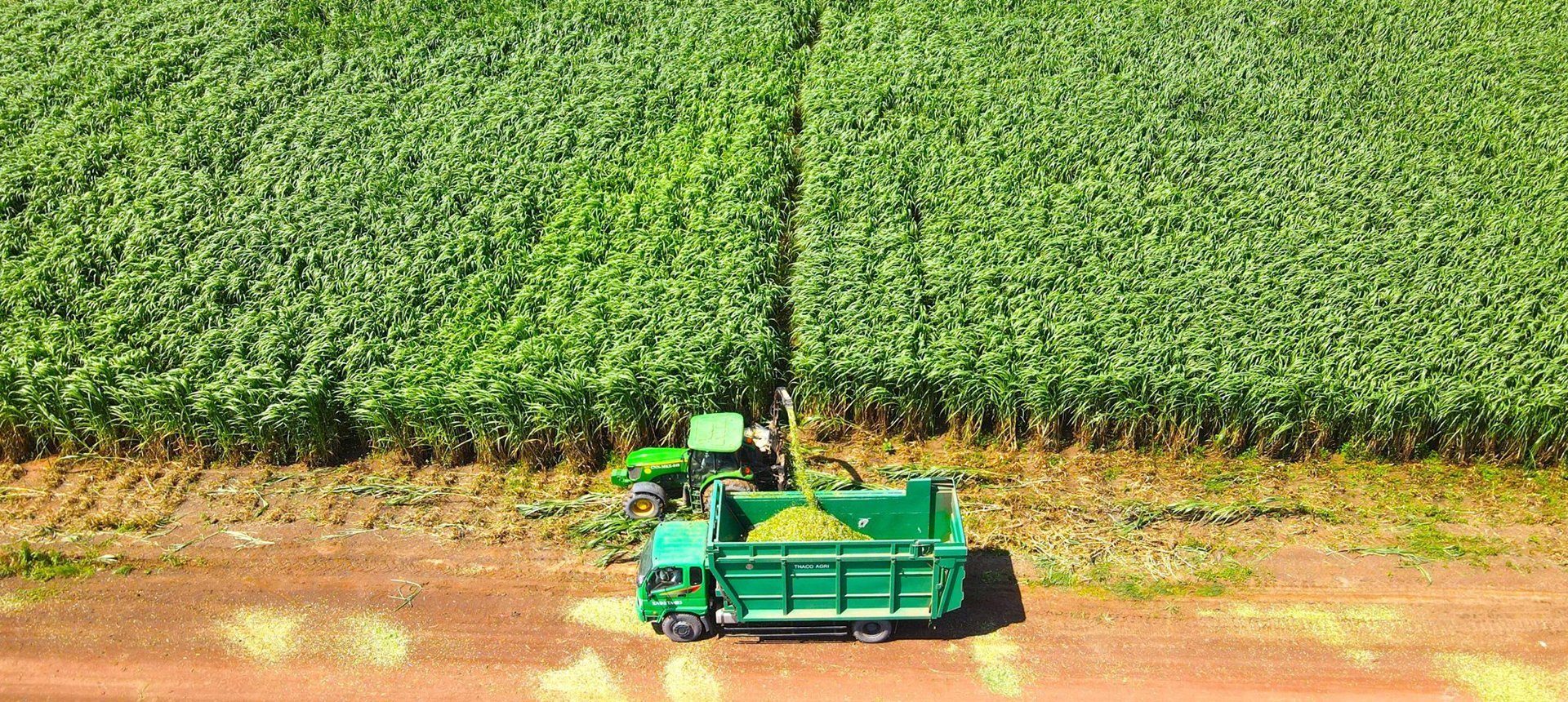 Mechanization in large-scale agricultural production