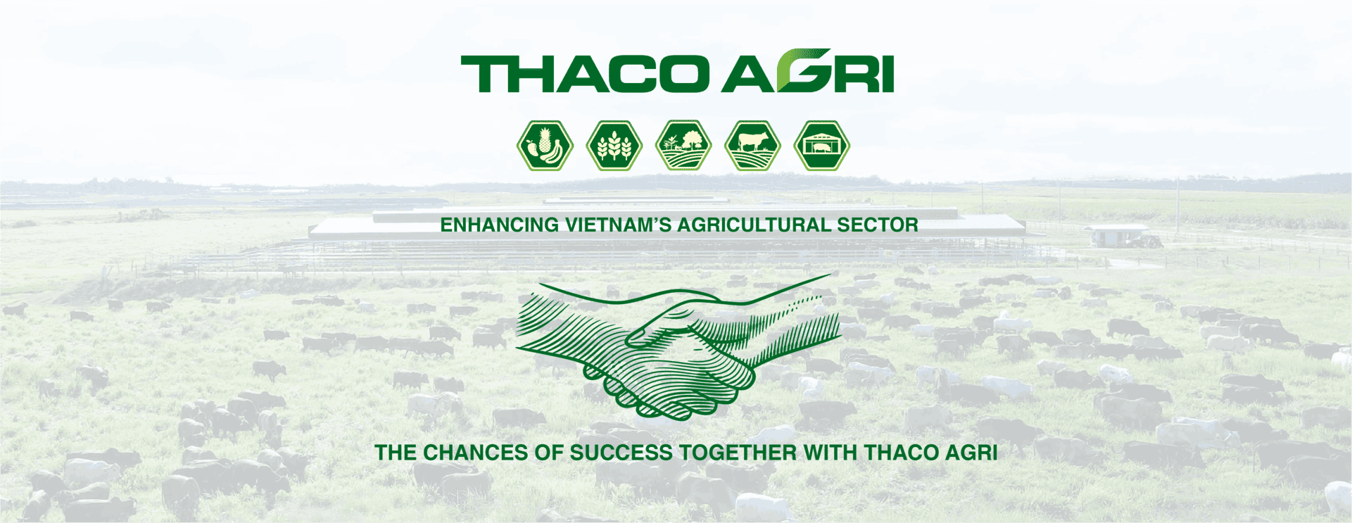 Banner tuyển dụng Thagrico